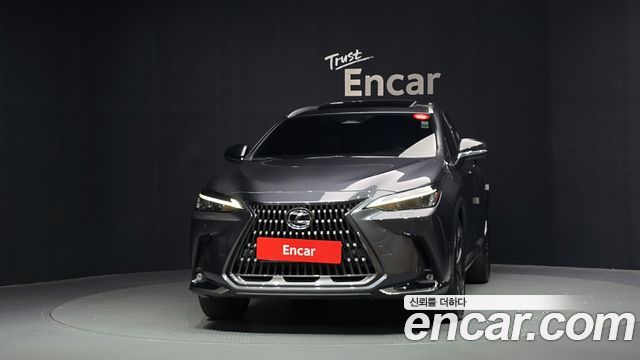 Lexus NX350h (II) Premium 2023 — фото 3