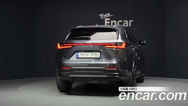 Lexus NX350h (II) Premium 2023 — фото 4