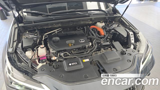 Lexus NX350h (II) Premium 2023 — фото 6