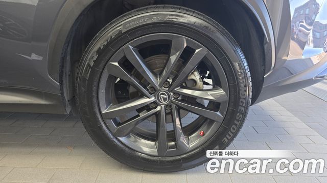 Lexus NX350h (II) Premium 2023 — фото 21