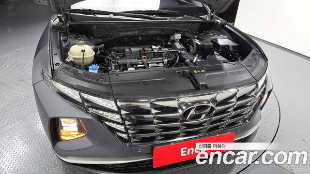 Hyundai Tucson (NX4) Gasoline 1.6 Turbo 2WD Premium 2023 — фото 6