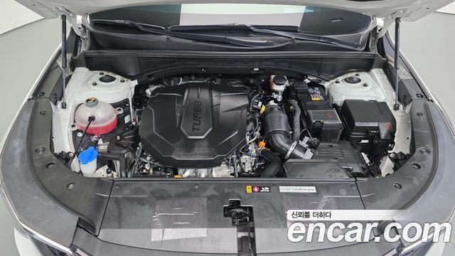 Kia Sorento (IV) Diesel 2.2 2WD Signature 2025 — фото 6