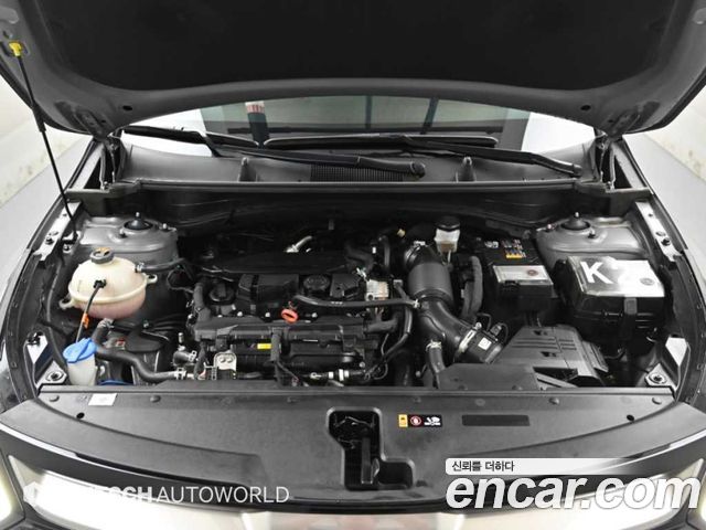 Kia Sportage (V) Gasoline 1.6 Turbo 2WD Signature 2024 — фото 6