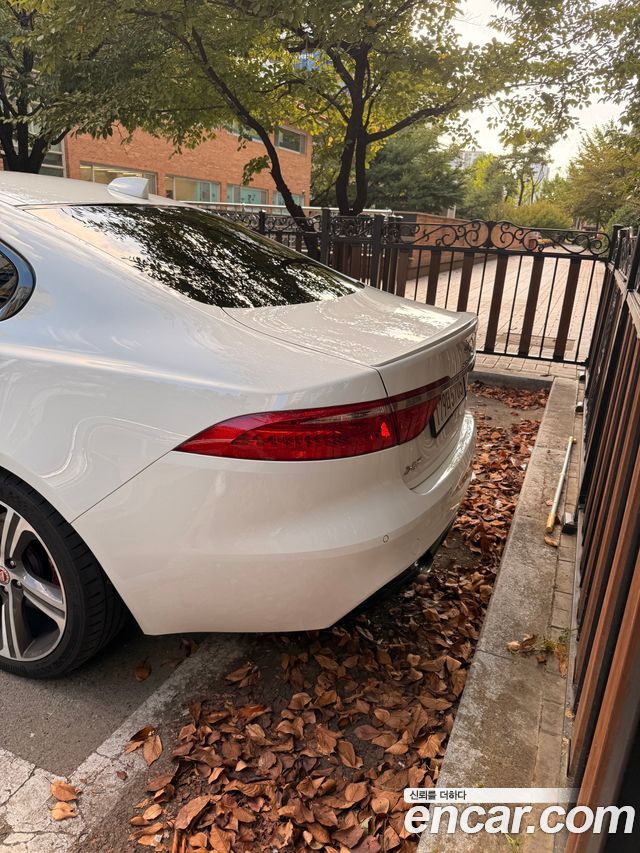 Jaguar XF (X260) 3.0 S AWD 2017 — фото 2