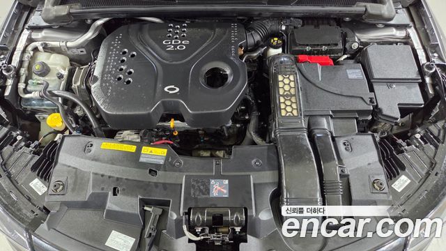 Renault Korea SM6 2.0 GDe RE 2016 — фото 23