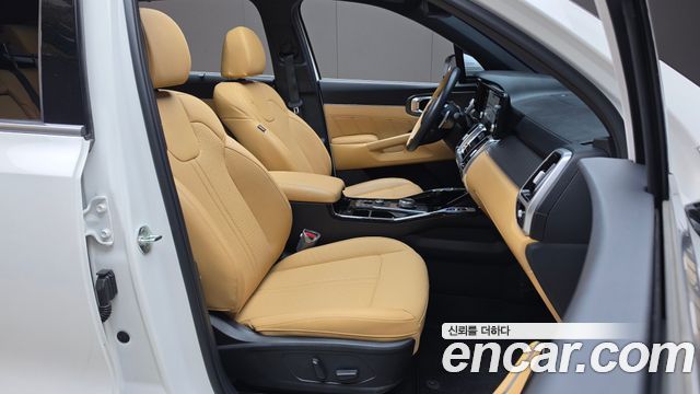 Kia Sorento (IV) Gasoline 2.5T 4WD Noblesse 2023 — фото 12