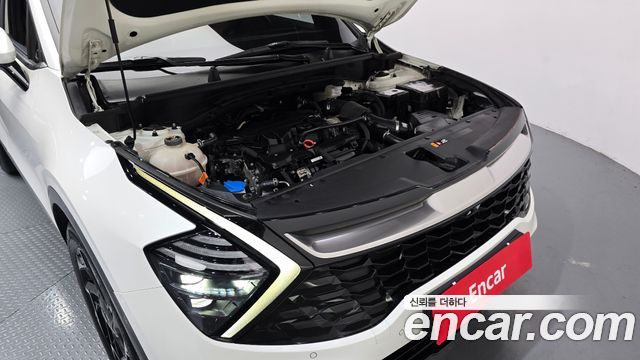 Kia Sportage (V) Gasoline 1.6 Turbo 2WD Signature 2022 — фото 6