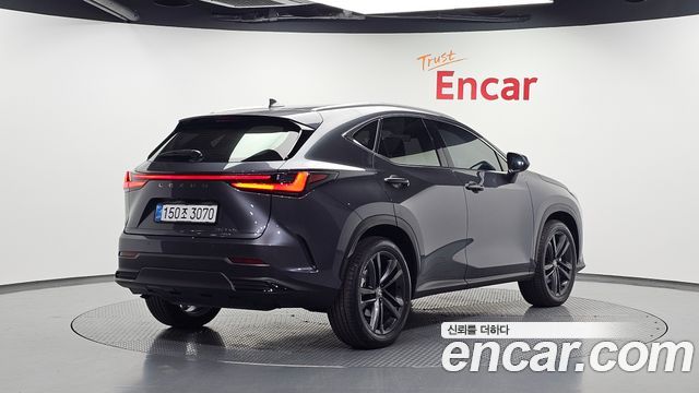 Lexus NX350h (II) Premium 2025 — фото 2
