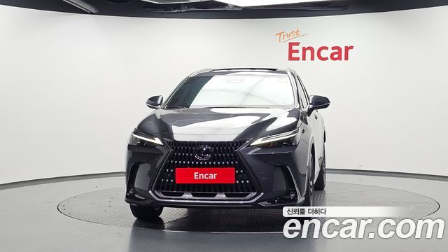 Lexus NX350h (II) Premium 2025 — фото 3