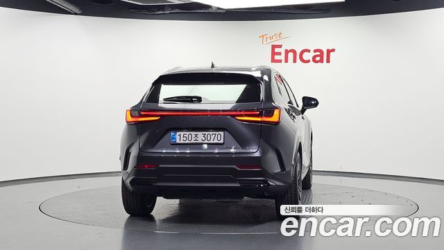 Lexus NX350h (II) Premium 2025 — фото 4