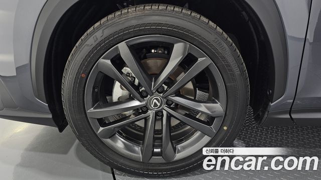 Lexus NX350h (II) Premium 2025 — фото 5