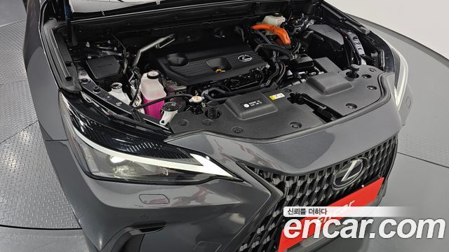 Lexus NX350h (II) Premium 2025 — фото 6