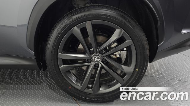 Lexus NX350h (II) Premium 2025 — фото 27