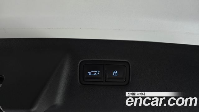 Hyundai Santa Fe (MX5) HEV 1.6 2WD Calligraphy 2024 — фото 20