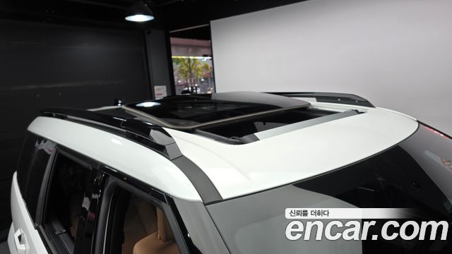Hyundai Santa Fe (MX5) HEV 1.6 2WD Calligraphy 2024 — фото 22