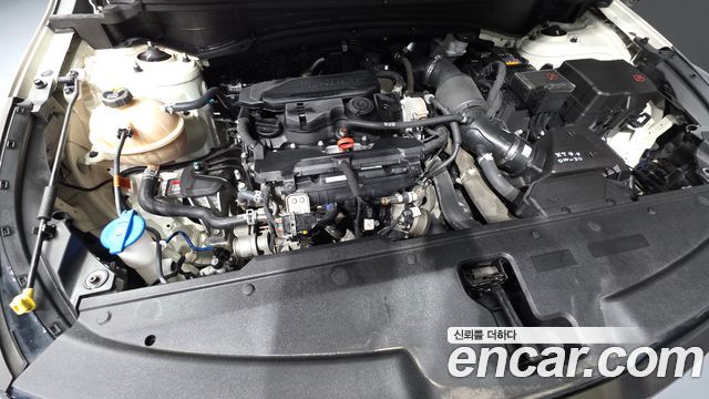 Kia Sportage (V) Gasoline 1.6 Turbo 2WD Nobleless Gravity 2022 — фото 6
