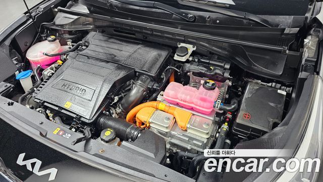 Kia Niro 1.6 HEV Trendy 2022 — фото 6