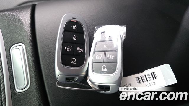 Hyundai Santa Fe Diesel 2.2 2WD Exclusive 2023 — фото 30