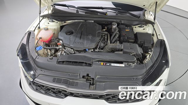 Kia K5 (III) 2.0 Prestige 2023 — фото 6