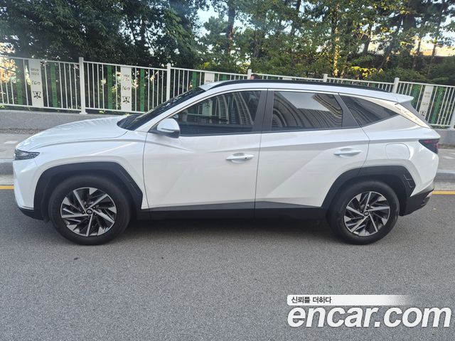 Hyundai Tucson (NX4) Diesel 2.0 2WD Premium 2021 — фото 10
