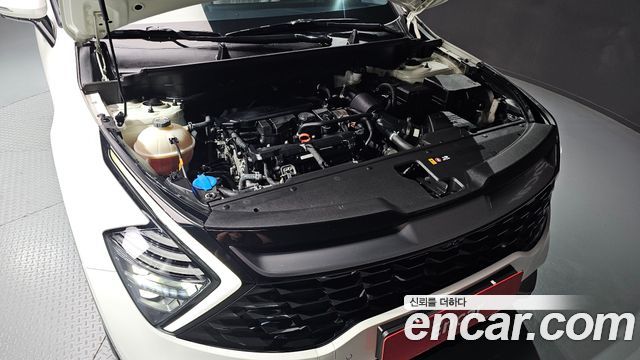 Kia Sportage (V) Gasoline 1.6 Turbo 2WD Signature 2022 — фото 6