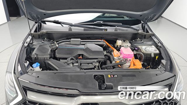Kia Sportage Hybrid (V) Signature Gravity 2WD 2023 — фото 6