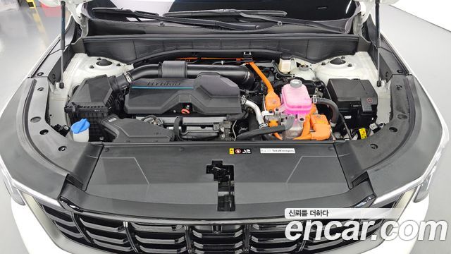 Kia Sorento (IV) HEV 1.6 2WD Gravity 2025 — фото 6