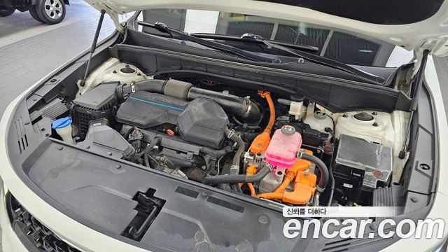 Kia Sorento (IV) HEV 1.6 2WD Prestige 2022 — фото 6
