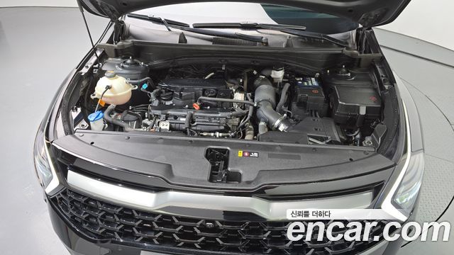 Kia Sportage (V) Gasoline 1.6 Turbo 2WD Signature Gravity 2022 — фото 6