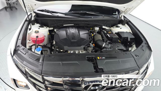 Hyundai Tucson (NX4) Diesel 2.0 4WD Modern 2023 — фото 6