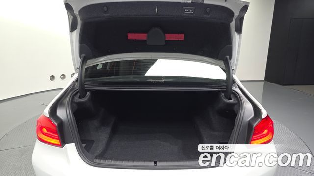 BMW 5 Series (G30) 520i Luxury 2020 — фото 20