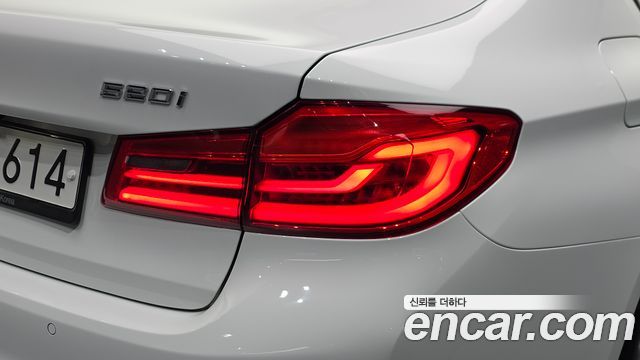 BMW 5 Series (G30) 520i Luxury 2020 — фото 23