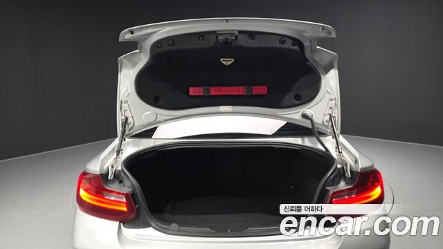 BMW 2 Series (F22) 220d M Sport Coupe 2014 — фото 24