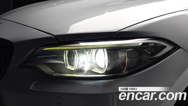 BMW 2 Series (F22) 220d M Sport Coupe 2014 — фото 28
