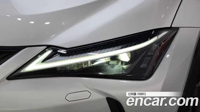 Lexus UX250h 2.0 2WD 2024 — фото 22