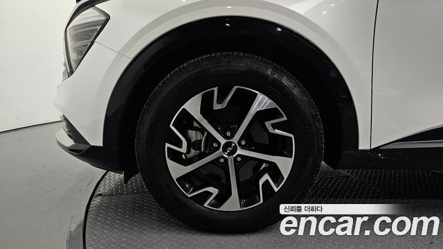 Kia Sportage Hybrid (V) Nobleless 2WD 2023 — фото 5