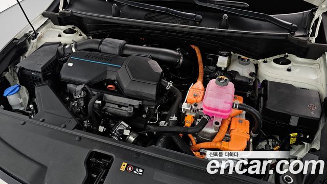 Kia Sportage Hybrid (V) Nobleless 2WD 2023 — фото 6