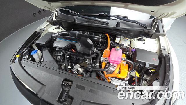 Kia Sportage Hybrid (V) Nobleless 2WD 2022 — фото 6