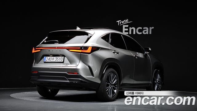Lexus NX350h (II) Luxury 2025 — фото 2