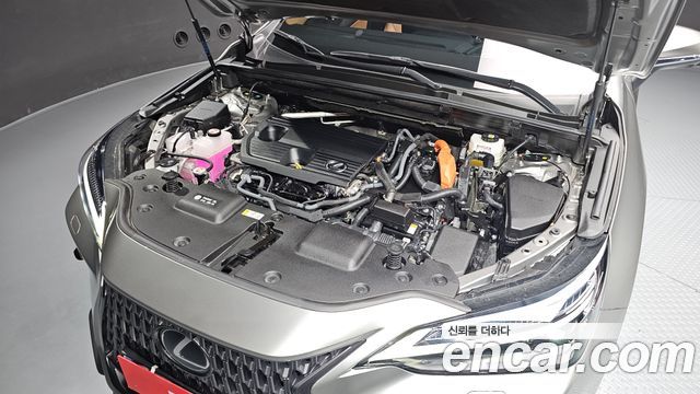 Lexus NX350h (II) Luxury 2025 — фото 6