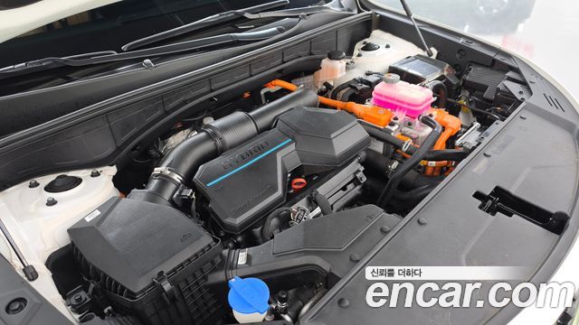 Kia Sorento (IV) HEV 1.6 2WD Gravity 2022 — фото 6