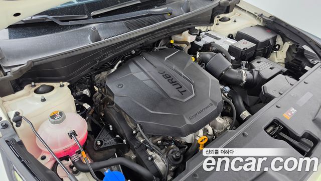 Kia Sportage (V) Diesel 2.0 2WD Signature 2022 — фото 6