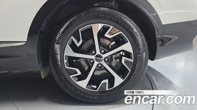 Kia Sportage Hybrid (V) Nobleless 2WD 2024 — фото 21