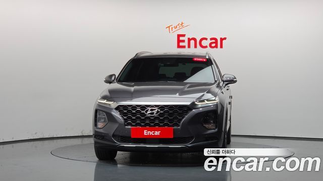Hyundai Santa Fe (TM) Diesel 2.0 2WD Exclusive Special 2019 — фото 3
