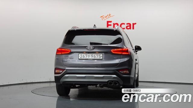 Hyundai Santa Fe (TM) Diesel 2.0 2WD Exclusive Special 2019 — фото 4