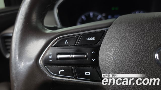 Hyundai Santa Fe (TM) Diesel 2.0 2WD Exclusive Special 2019 — фото 17