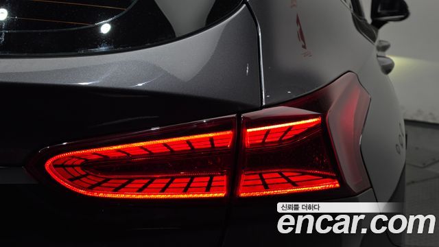 Hyundai Santa Fe (TM) Diesel 2.0 2WD Exclusive Special 2019 — фото 23