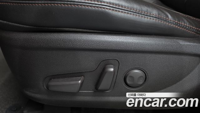 Hyundai Santa Fe (TM) Diesel 2.0 2WD Exclusive Special 2019 — фото 32