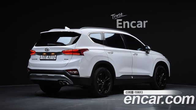 Hyundai Santa Fe (TM) Diesel 2,0 4WD Exclusive Special 2019 — фото 2