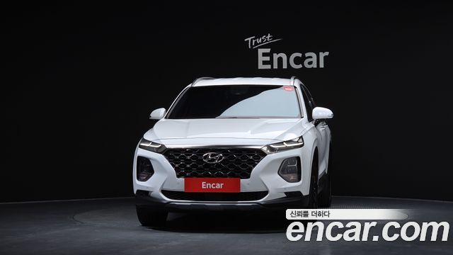Hyundai Santa Fe (TM) Diesel 2,0 4WD Exclusive Special 2019 — фото 3